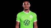Sport Reaction GIF by VfL Wolfsburg
