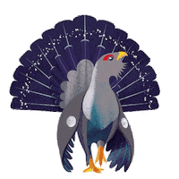 Winter Sticker by Wienachtsdorf