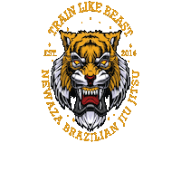 Bjj Jiu Jitsu Sticker by Rogerio