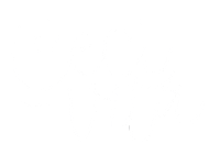Cecivita Sticker