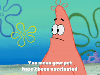 new leaf episode 13 GIF by SpongeBob SquarePants
