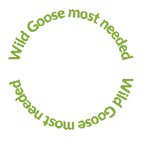 Wild Goose Donations Sticker by inHope Bristol