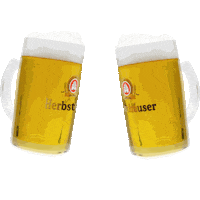 Beer Cheers Sticker by Herbsthäuser Brauerei