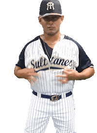 Sport Baseball Sticker by Sultanes Oficial