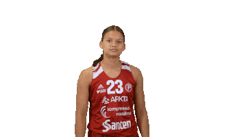 Womens Basketball Sport Sticker by Basket_fi