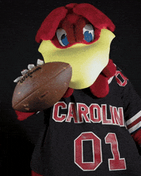 Ncaa Mascot GIF by University of South Carolina
