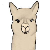 biancafreudenthaler motivation bianca moti biancafreudenthaler Sticker