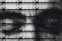 art film GIF by PEEKASSO
