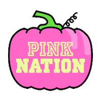 pumpkin patch halloween Sticker by Victoria's Secret PINK