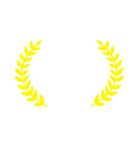 School Anglo Sticker by Colégio Suller Garcia