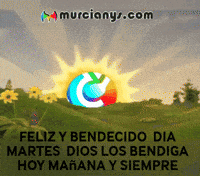 Sol Amigos GIF by Murcianys LLC