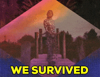 GIF by Charli XCX