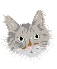 cat kitten Sticker