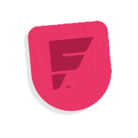 E-Bike Electric Bike Sticker by Radio Flyer