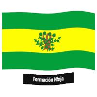 La Coruna Flag Sticker by Formación Ninja