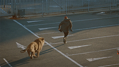 christopher eccleston australia GIF by The Leftovers HBO