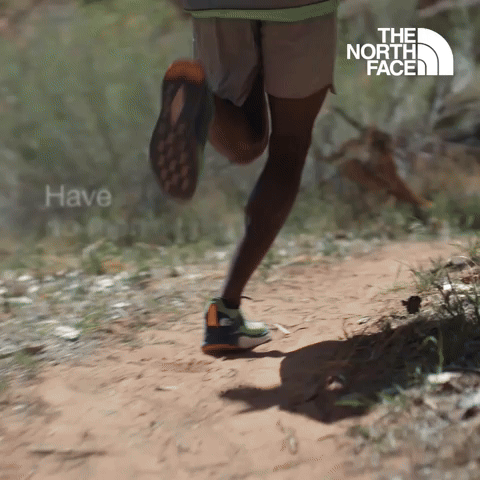Have You Ever - The North Face