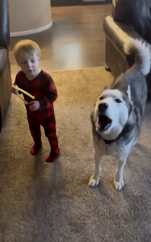 Dog and Toddler Practice Howling Together