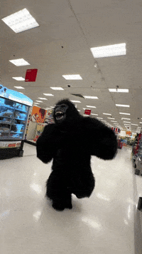 Gorilla Target GIF by Chubsuit