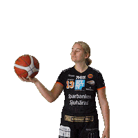 Basketball Sweden Sticker by Borås Basket