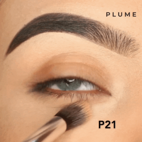 Plumeworld giphyupload GIF
