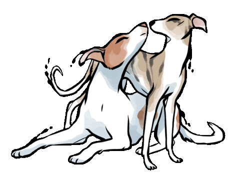 Cat Dog Sticker