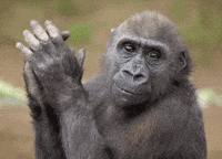 bravo GIF