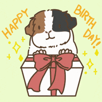 Birthday Licht GIF