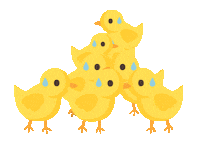 Chick Tokopedia Sticker by Amartha