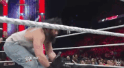 the shield wrestling GIF by WWE