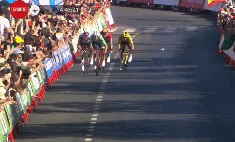 CyclingTips giphyupload GIF