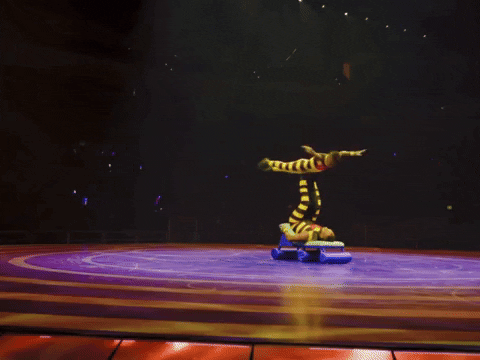 Happy Ringling Bros GIF by Ringling Bros. and Barnum & Bailey