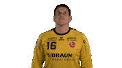 Handball-Bundesliga Handball Sticker by LIQUI MOLY HBL