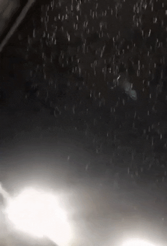 a6257d32486a4c0eb6383ffaf249c5 giphyupload GIF