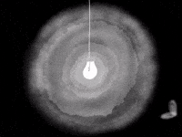 Lightbulb Moth GIF by Barbara Pozzi