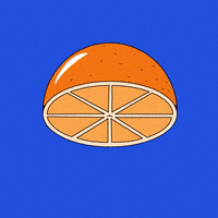 Orange Fruit Art GIF