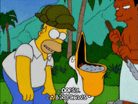 homer simpson GIF