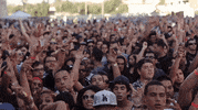 fools gold day off GIF by Fool's Gold Records