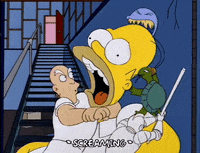 homer simpson GIF