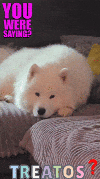 Candy Treat GIF