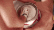 bar/none records GIF by The Moms
