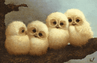 thursday GIF
