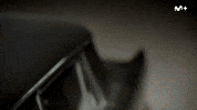 Cero Alienigena GIF by Movistar Plus+