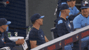 Blue Jays Basketball GIF by Toronto Blue Jays