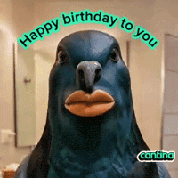 Happy Birthday Ai GIF by Cantina