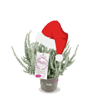 Christmas Winter Sticker by Gardengirls