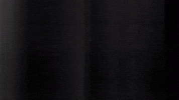 Football Sport GIF by SK Sturm Graz