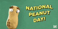 ask the storybots peanut GIF by StoryBots