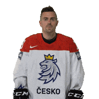 Celebration Hockey Sticker by Národní tým