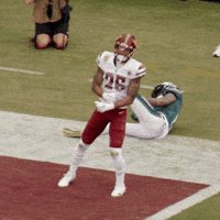 Football Sport GIF by Washington Commanders